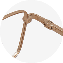 spring hinge